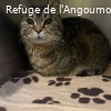 PTIT DODU renommé PEREDODU