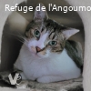 REGLISSE