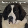 REINETTE