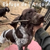 REMI