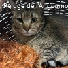 ROBINE