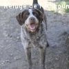 SAMY