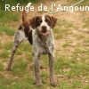 SAMY