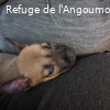 GUAPO