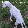 TALIA