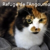 TALYS