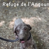 TIBELLE renommée CHANCE