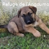 VAIANA renommée ATHENA