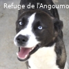 VENOM renommé ATCHOUM