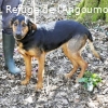 VENUS renommée LILOU